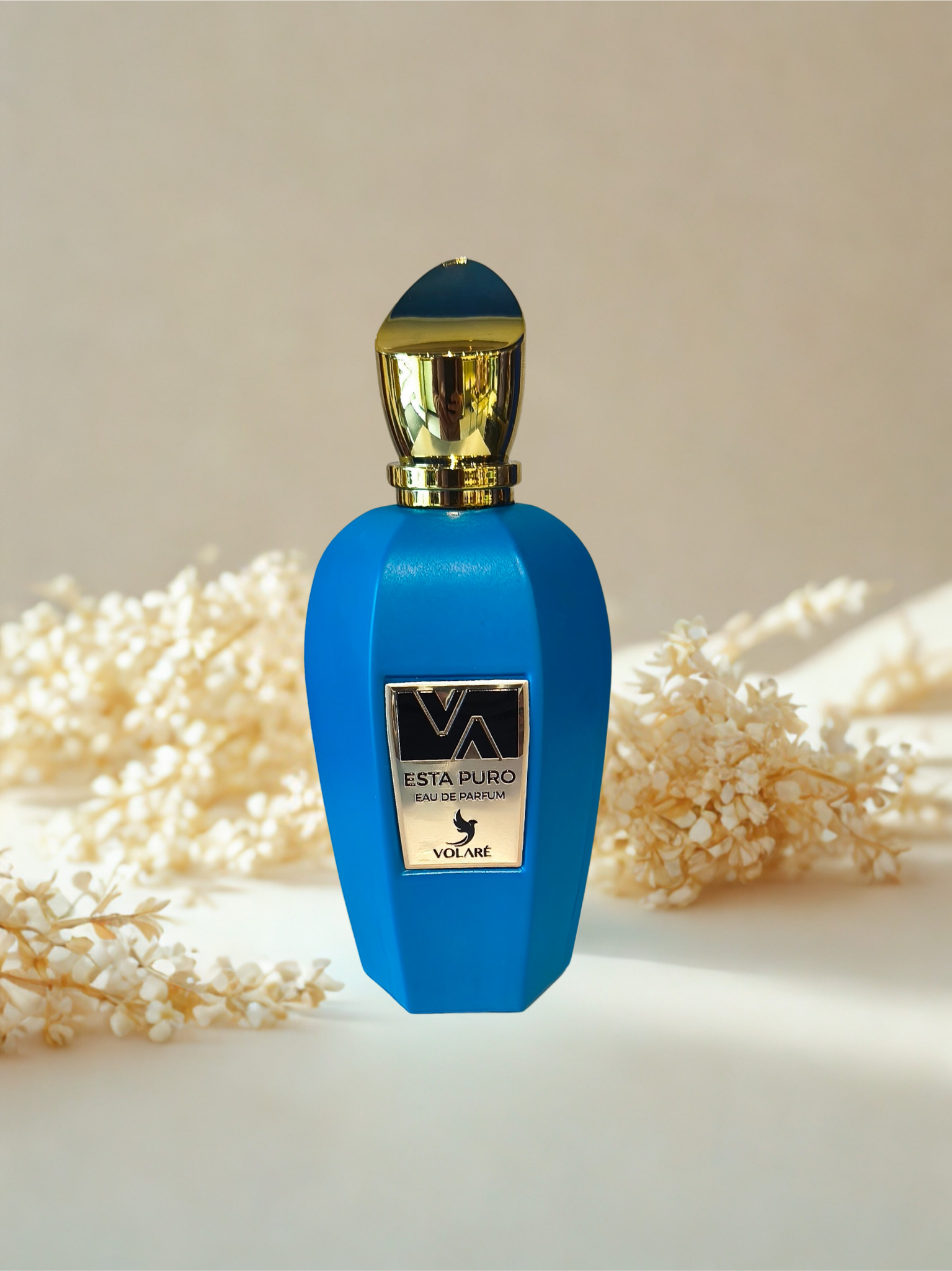 Esta Puro – Volaré